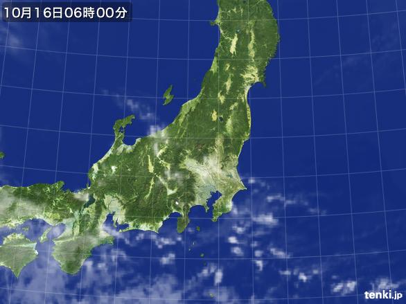 インスタ映えの富士山/ひまわり画像16101606/