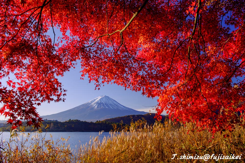 紅葉と富士山２／河口湖