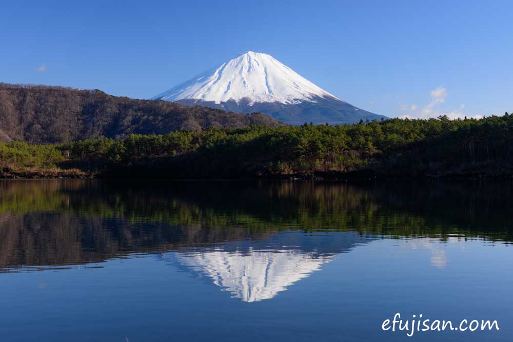 インスタ映えの富士山/逆さ富士/西湖