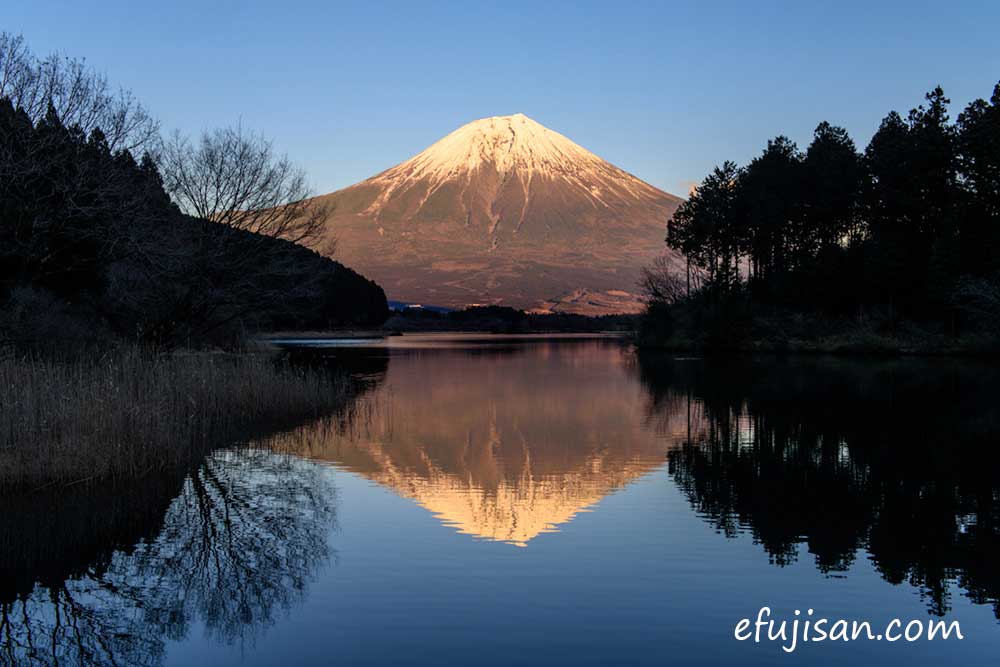 インスタ映えの富士山/逆さ富士/田貫湖