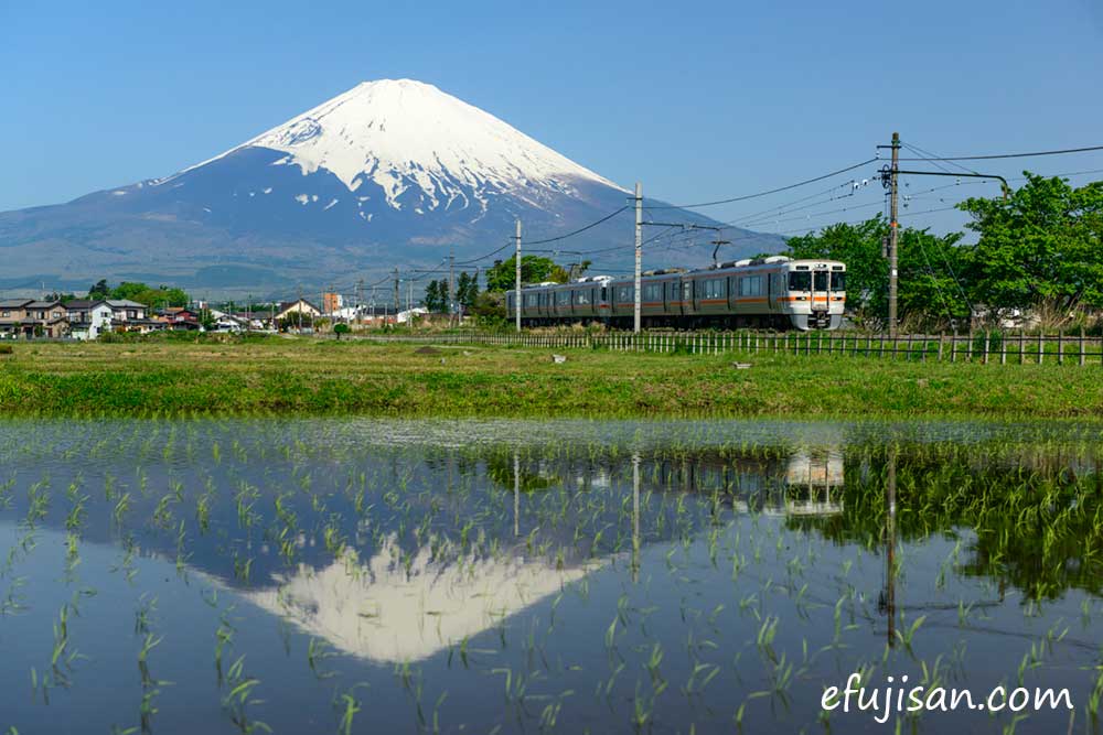 インスタ映えの富士山/逆さ富士/田んぼ