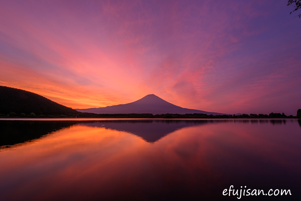 インスタ映えの富士山/逆さ富士/田貫湖