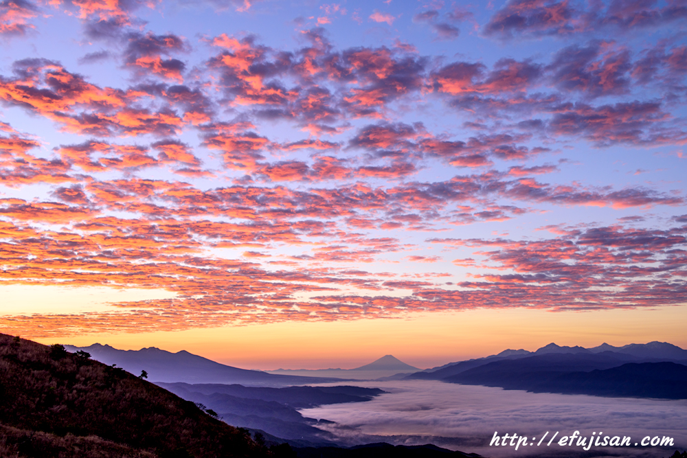 インスタ映えの富士山写真/高ボッチ高原/朝焼け