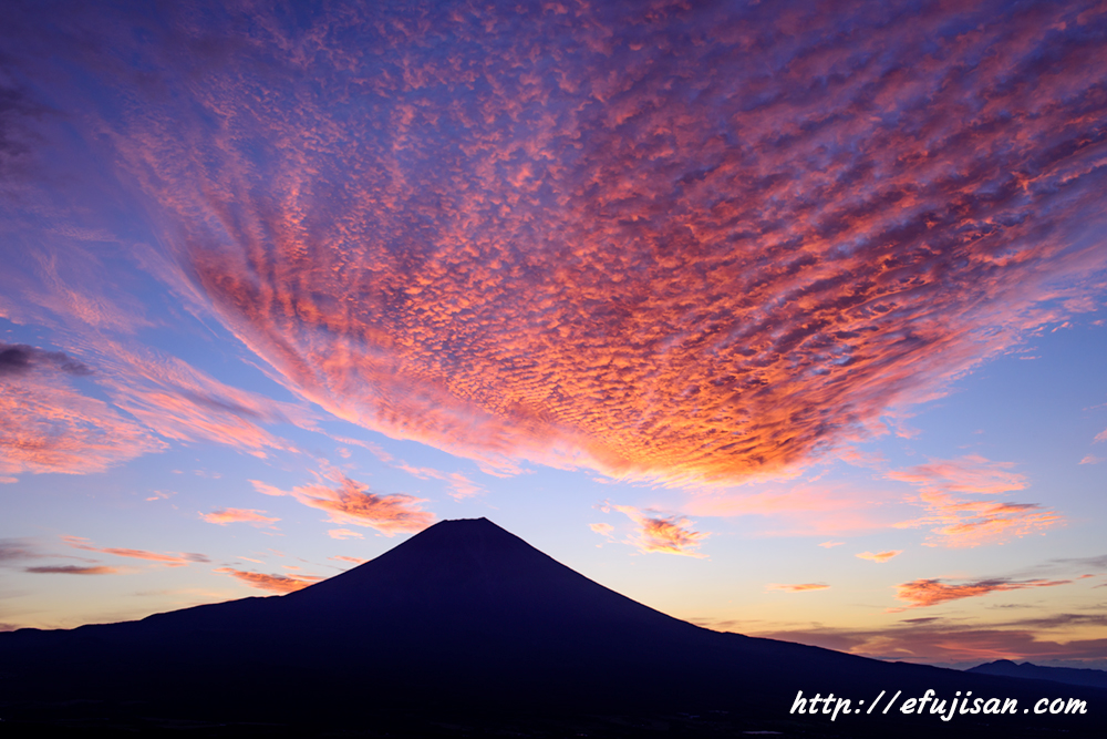 インスタ映えの富士山写真／猪之頭林道／朝焼け