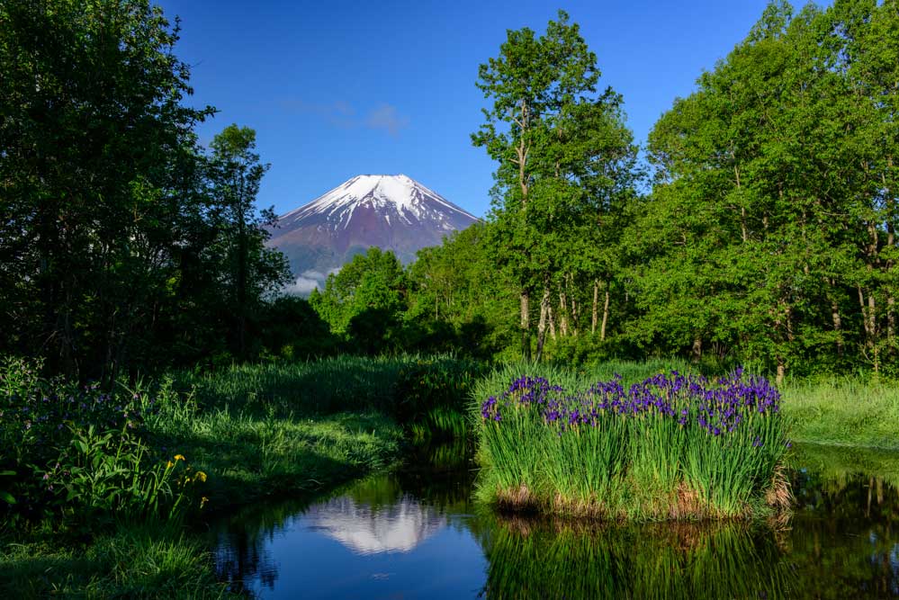 忍野村／富士山写真