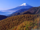 大月市の山から撮影したカラマツと富士山、素晴らしい景色に感動