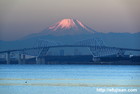 富士山写真｜スカイツリー