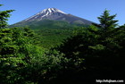 腰切塚から見た新緑と富士山