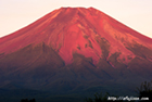 山梨県滝沢林道で撮影した赤富士