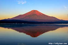 山梨県山中湖からの逆さ赤富士