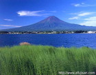 山梨県河口湖町で撮影した夏の富士山