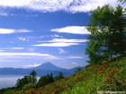 山梨県甘利山で撮影したレンゲツツジと富士山