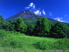 静岡県水ケ塚で撮影した新緑と富士山